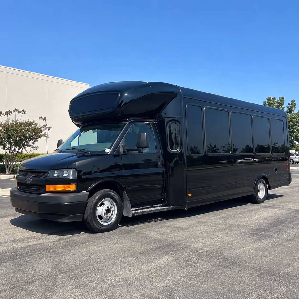 Group beside a Mercedes Sprinter limo in Colorado Springs