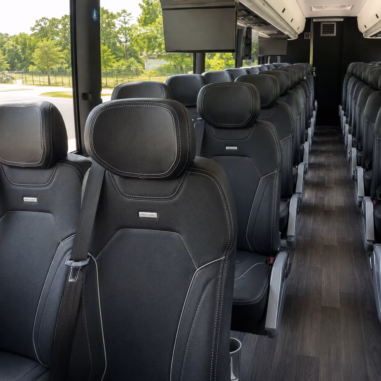 Colorado Springs Airport Shuttle & Transportation party bus exterior