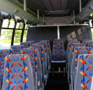 20-person-mini-bus-rental-black-forest