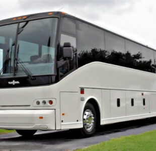 50-passenger-charter-bus-black-forest